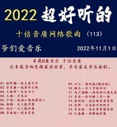 群星《2022超好听的十倍音质网络歌曲（113）》WAV分轨