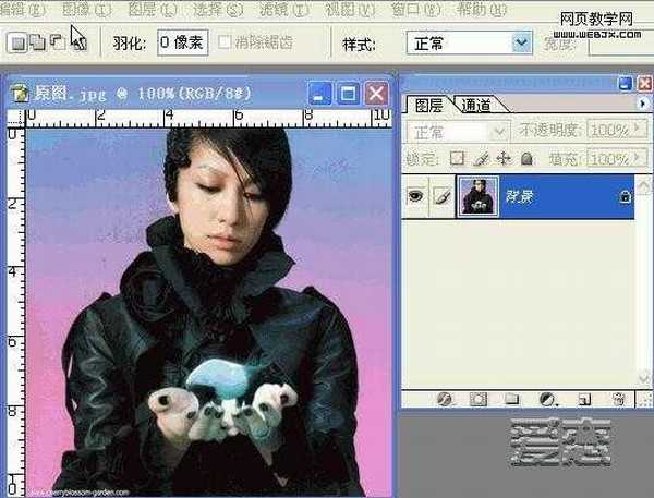 photoshop快速使用通道抠图的详细动态演示