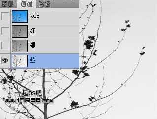 Photoshop利用通道和计算命令抠出复杂物体的实例教程