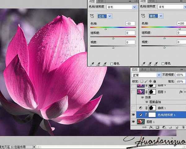 Photoshop将荷花特写图片打造出高清的暗紫色效果