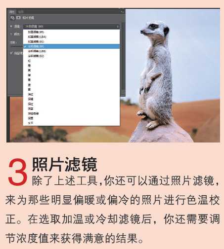 Photoshop CS6教你在JPEG文件格式下进行色彩校正