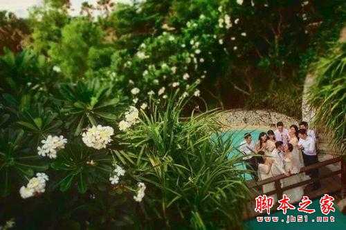 知名摄影师用移轴镜头拍婚礼的实战经验