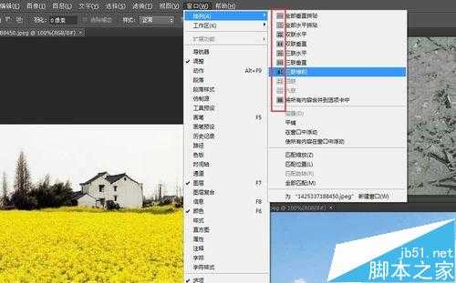 photoshop入门:图片的显示方式