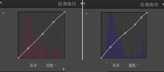 ps人像照片后期处理之唯美暗蓝色效果的制作方法