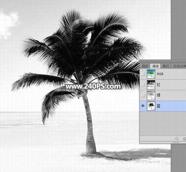 photoshop如何用通道快速抠出海边枝叶繁茂的椰子树