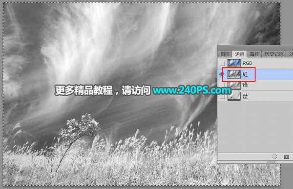 Photoshop巧用通道抠图完美抠出秋季芦苇丛教程